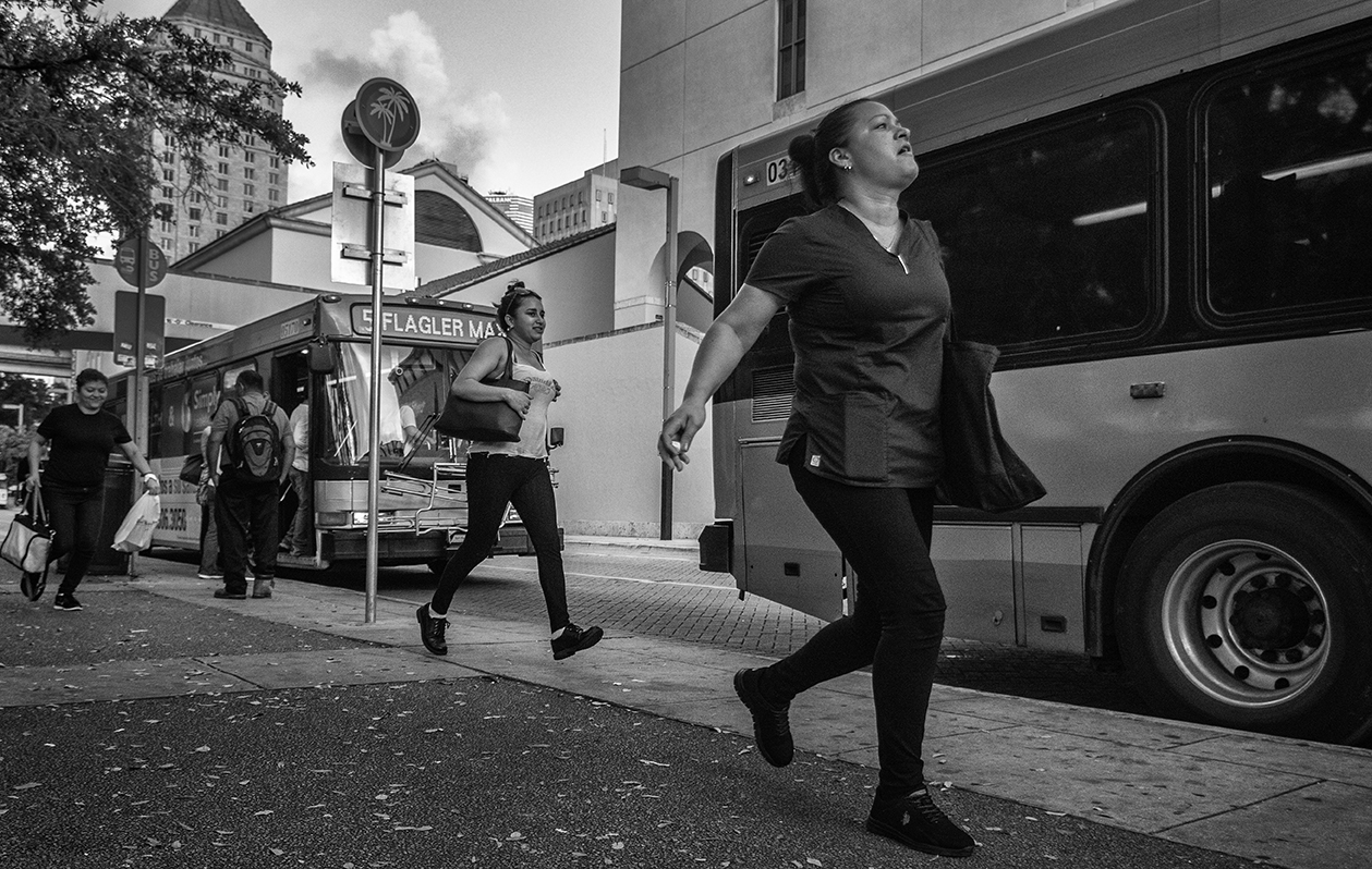 People’s History of South Florida Program Series:Curator’s Tour: Urban Tranquility