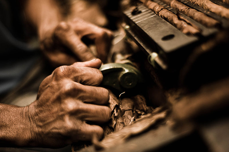 Cigar Rolling From Start to Finish
