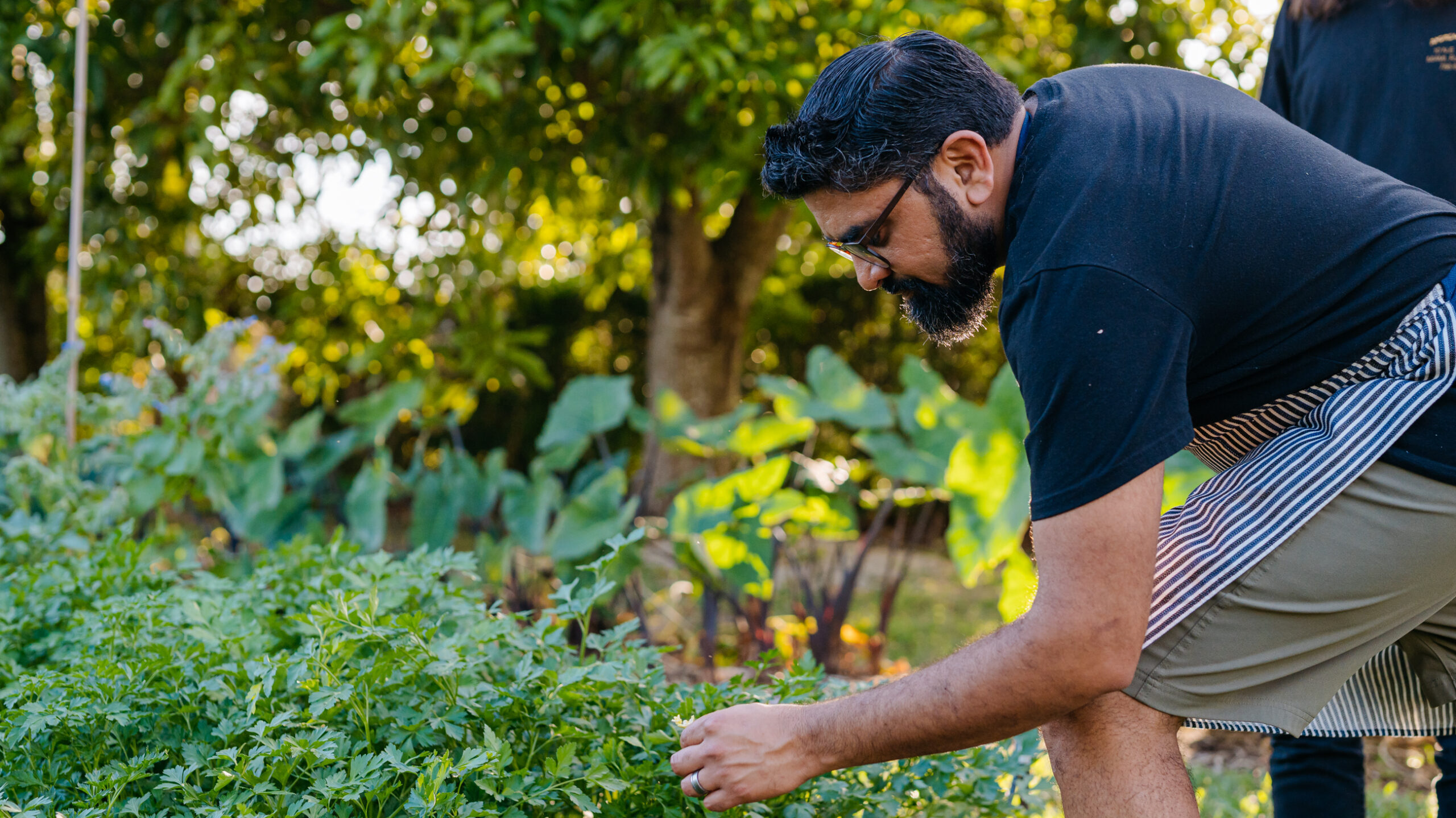 SOLD OUT - Cultural Encounter: From Farm-to-Table at Rancho Patel