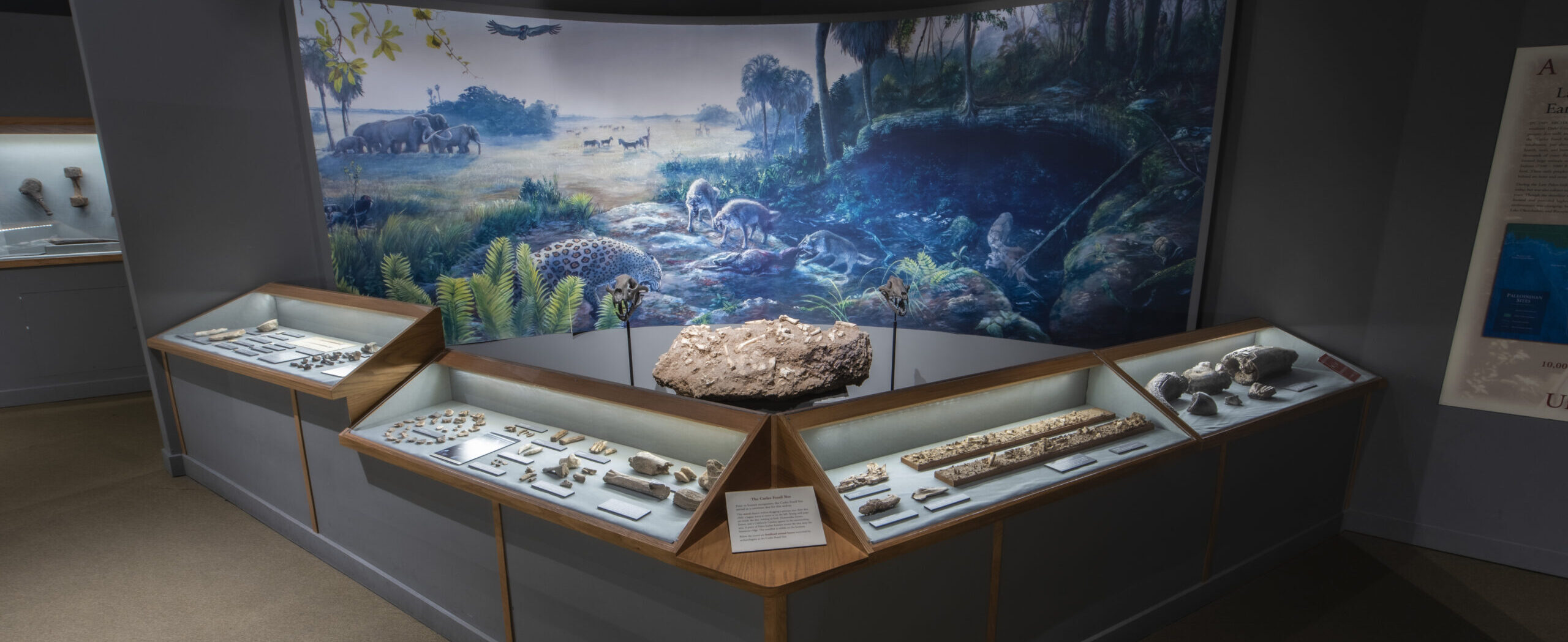 Free Family Fun Day: A Day at the Museum