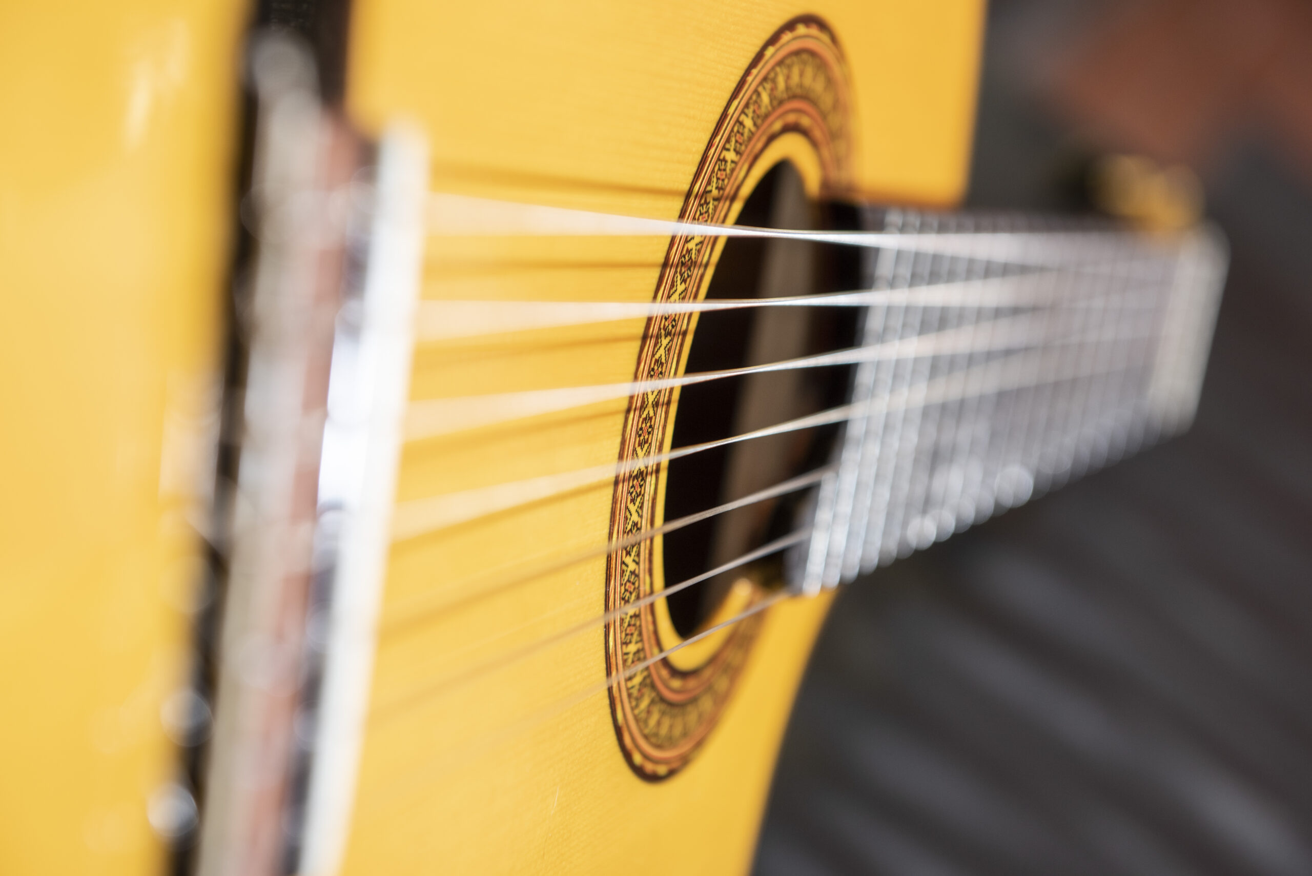 Virtual Performance: Sounds of Brazil