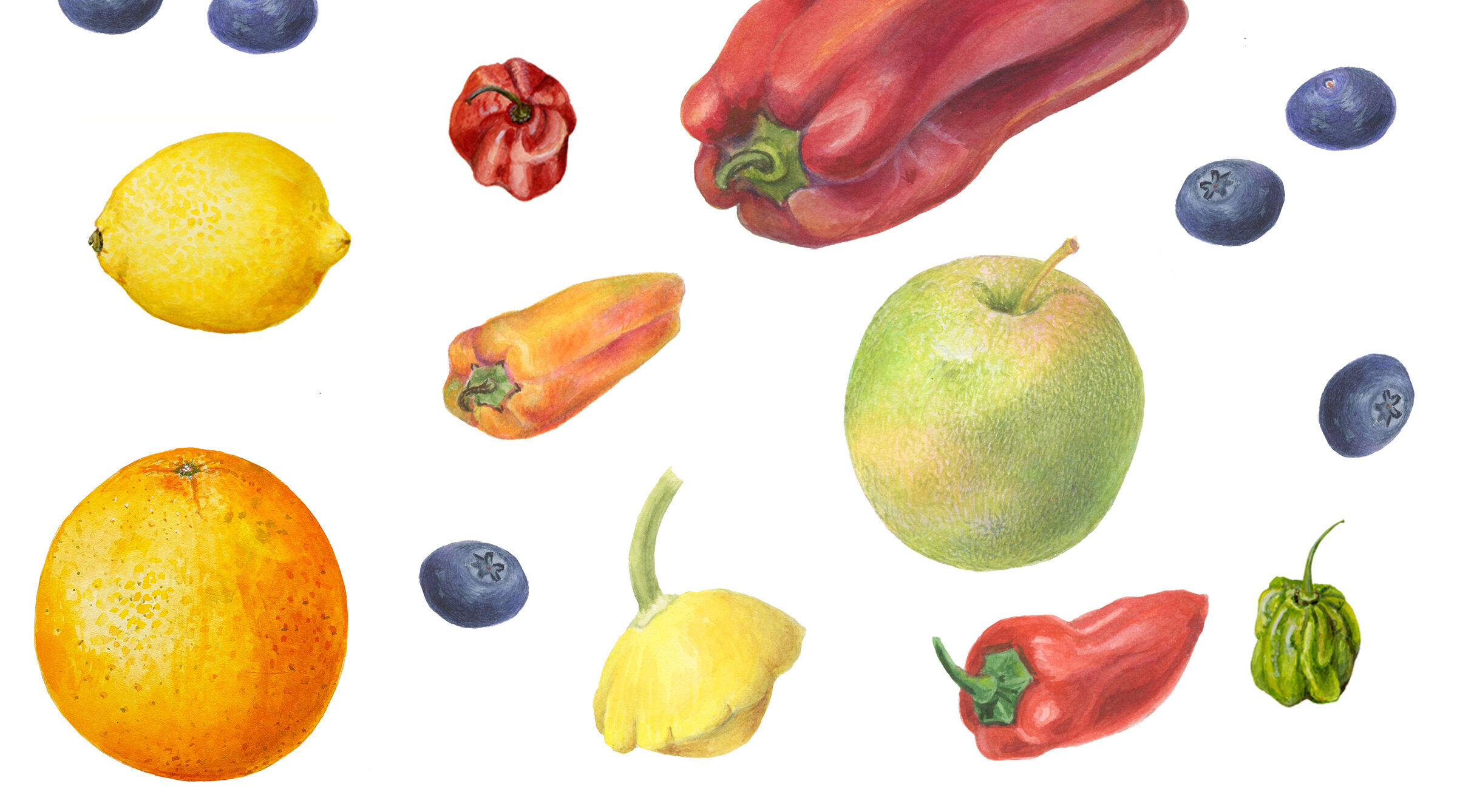Watercolor Workshop: Painting Nature’s Bounty with Donna Torres
