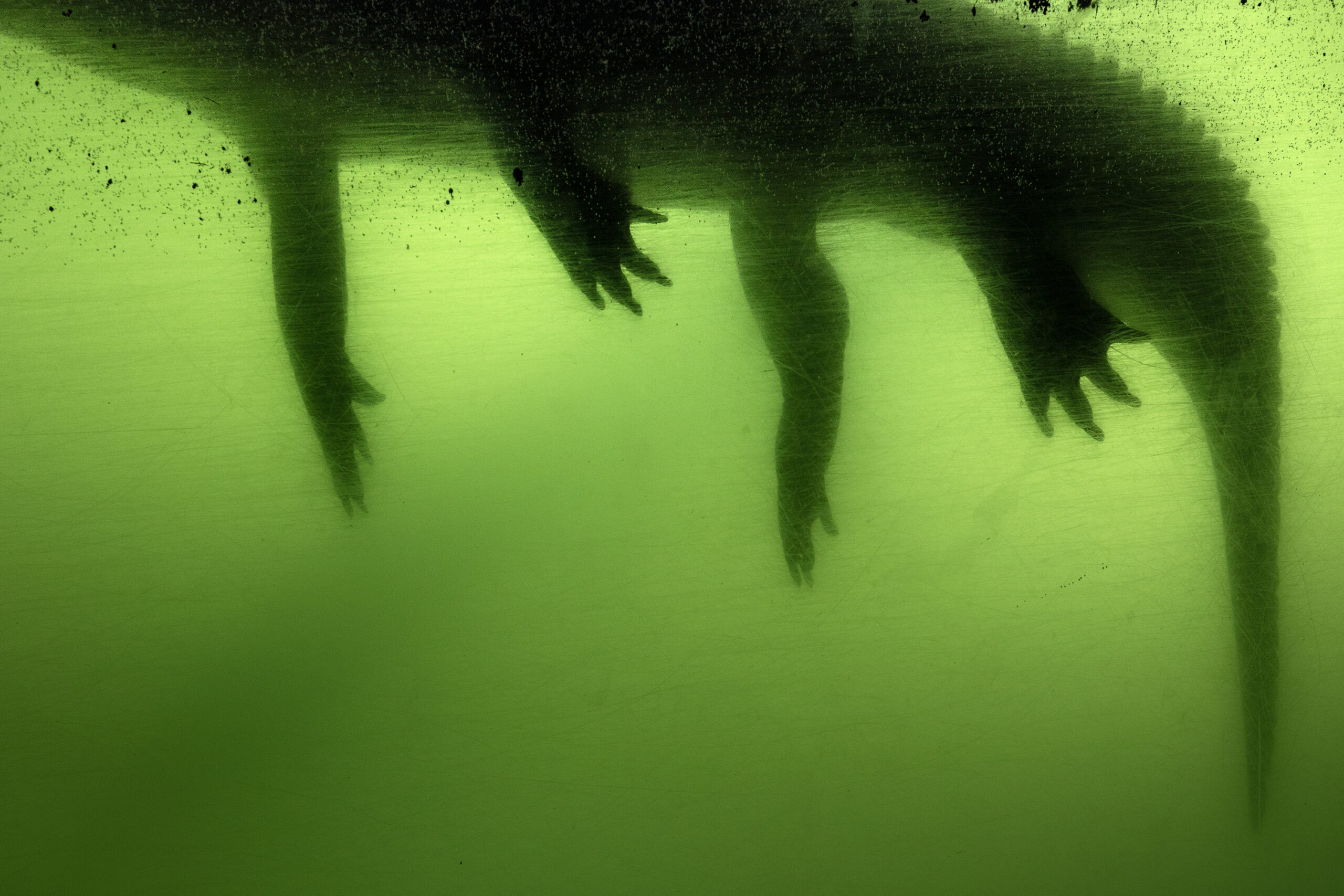 FloodZone: Photographs by Anastasia Samoylova Opening Reception