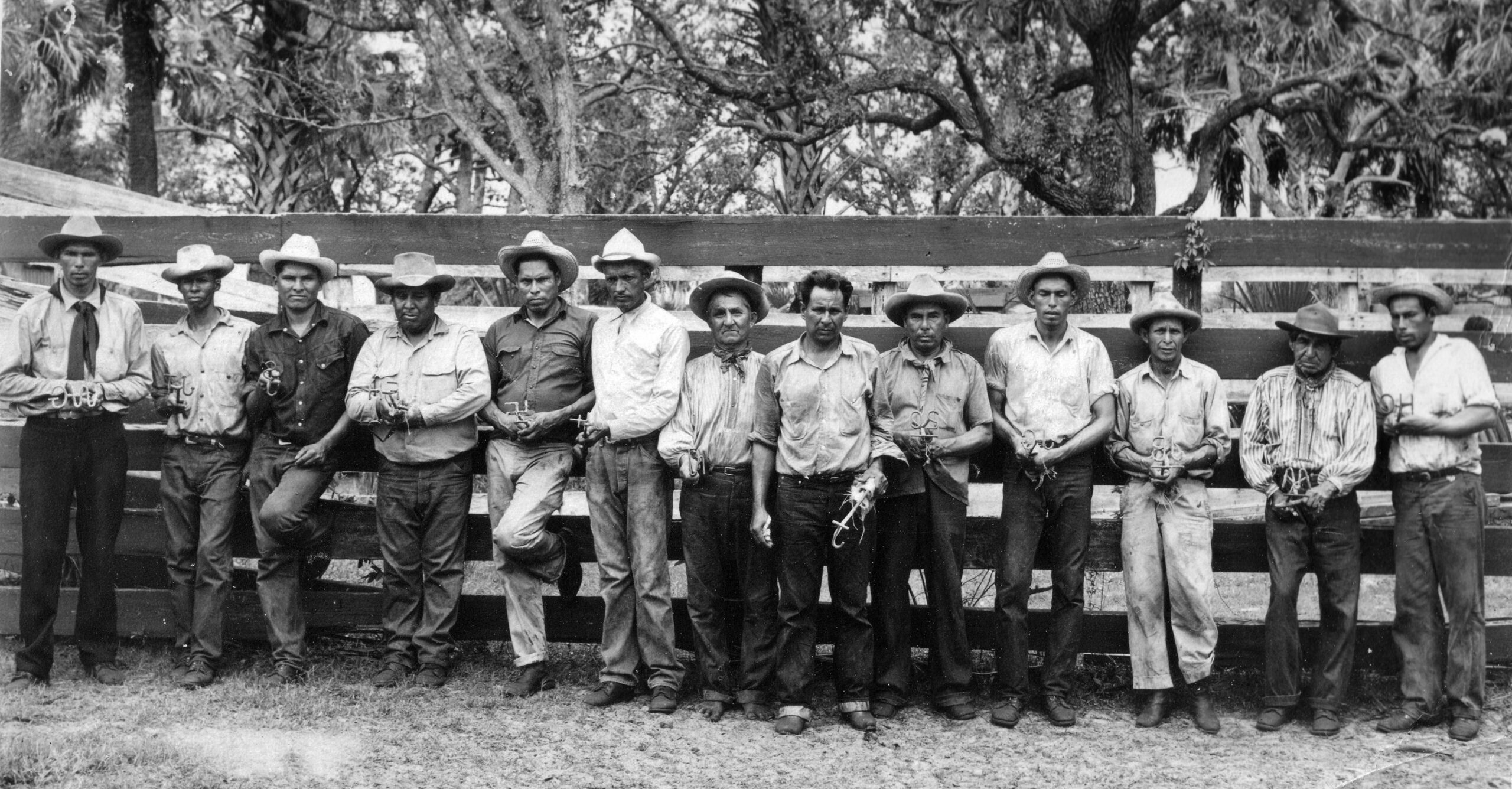 Florida Cattle Ranching - The Museum of Miami