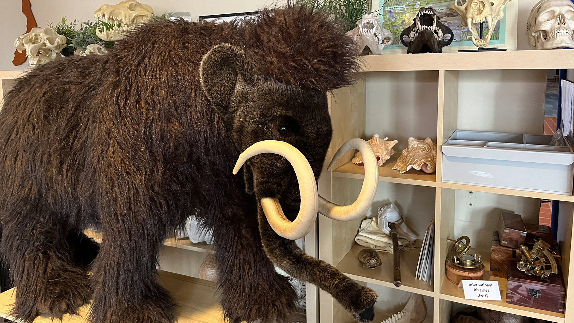 Free Family Fun Day: Prehistoric Animals