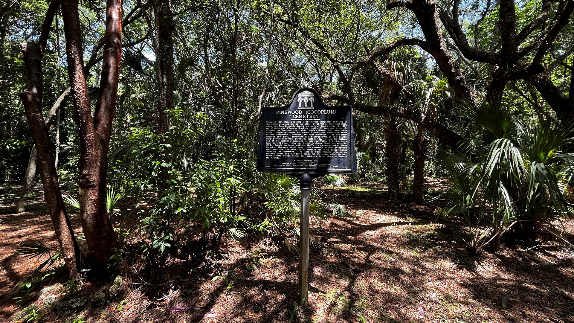 Sold Out - Cemetery Series: Pinewood Cemetery Walking Tour