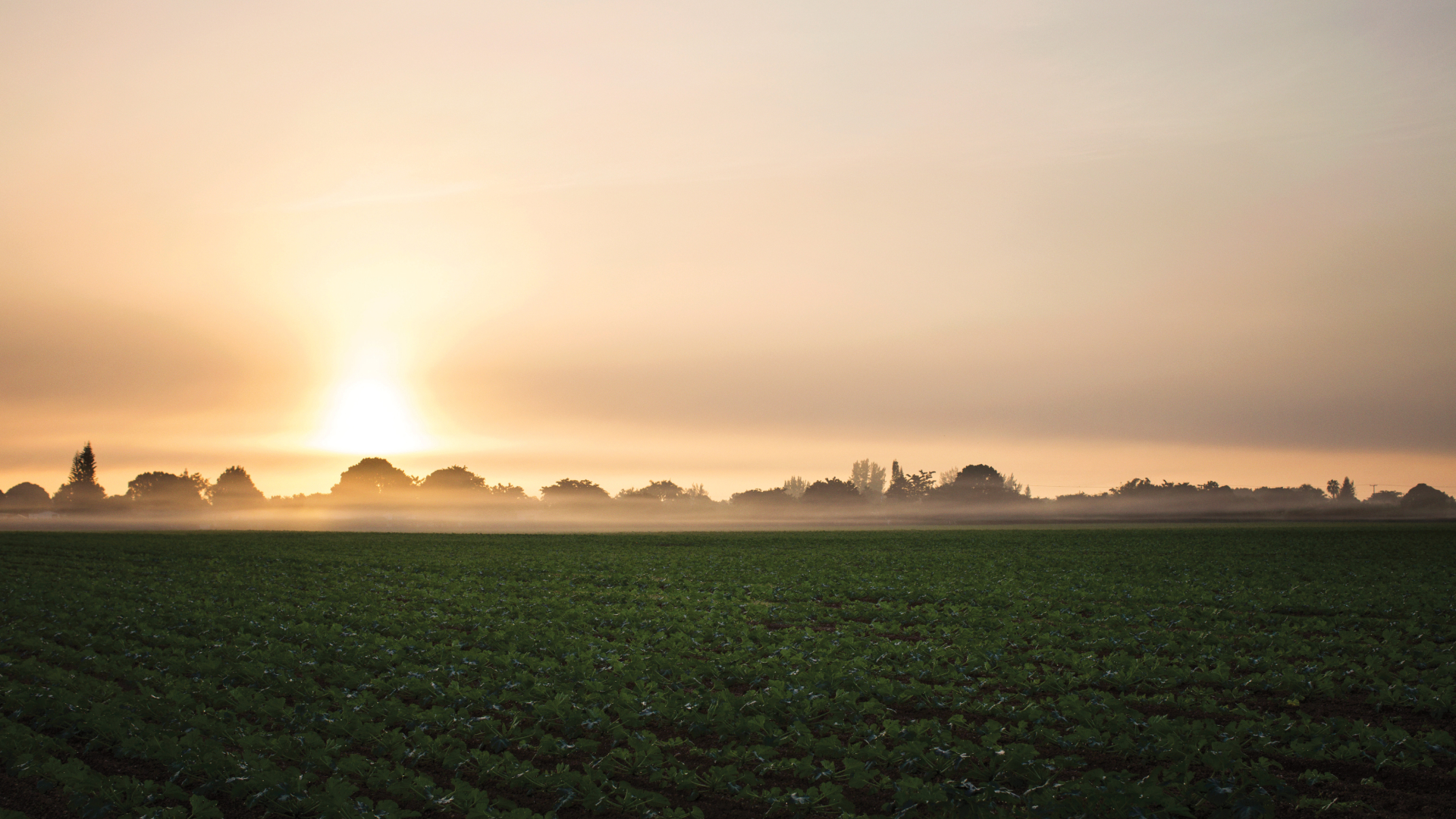 View of verdant farmland at sunset. Photo courtesy of the GMCVB – http://MiamiandMiamiBeach.com