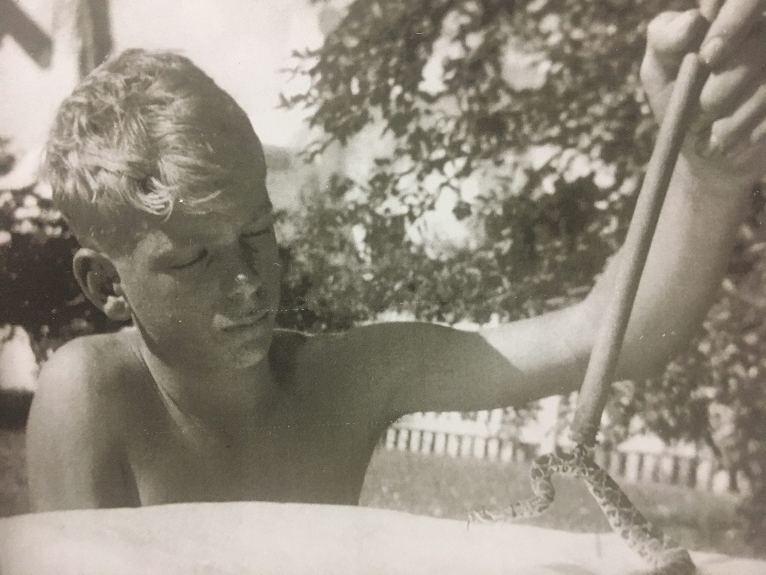 A black and white photo of a young boy, Tim Swain, holding a stick on which there's a newborn diamondback snake. He's looking at the snake with a serious expression.