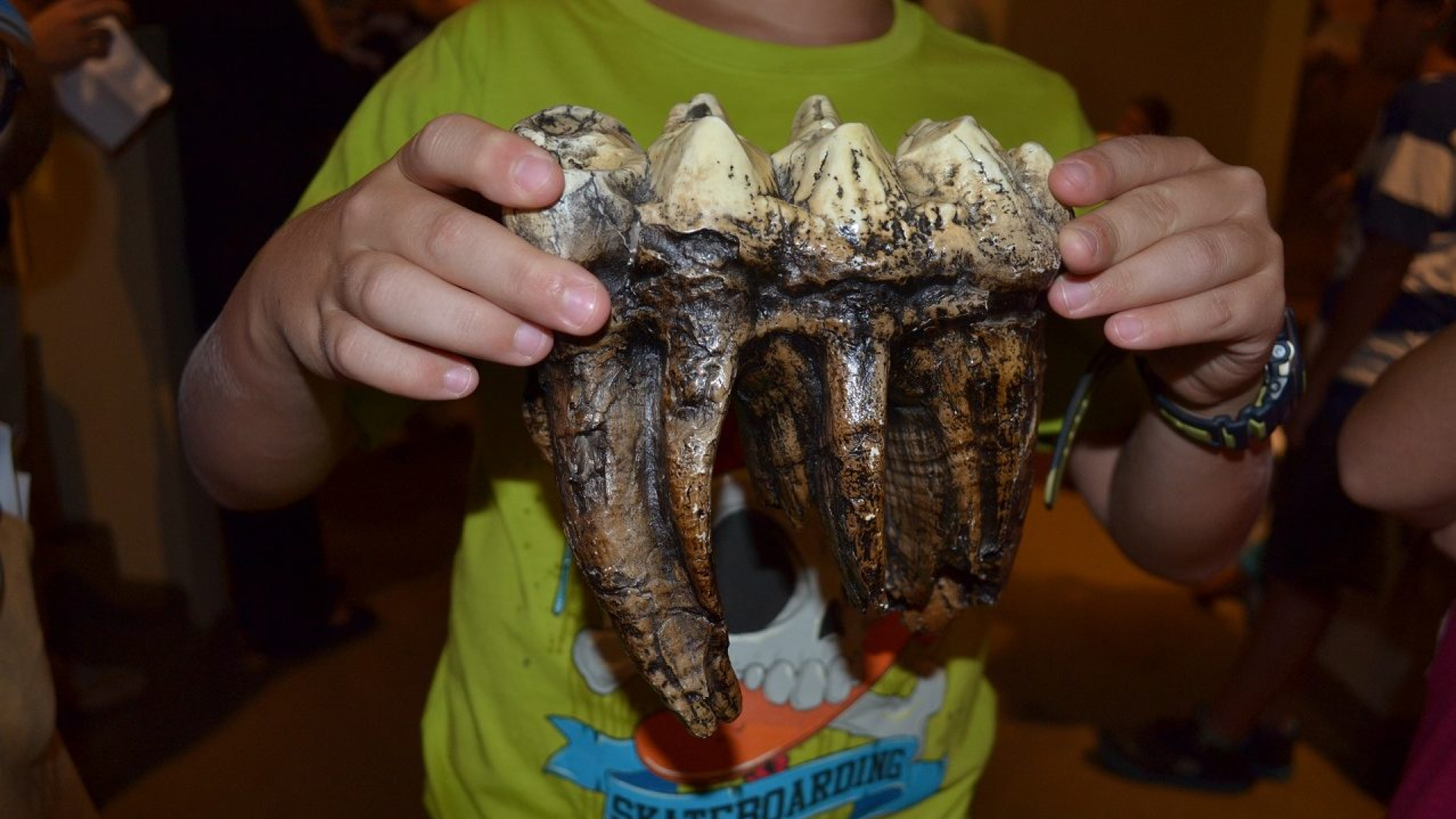 In Community: Hands-on-History with MDPLS | Miami Springs Branch