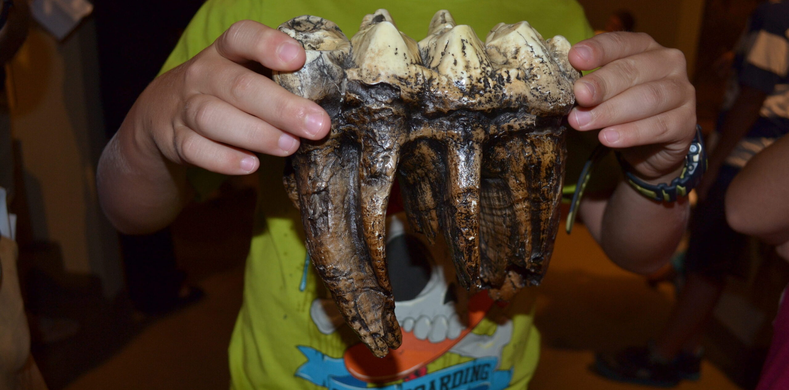 Free Family Fun Day: Digging Up History